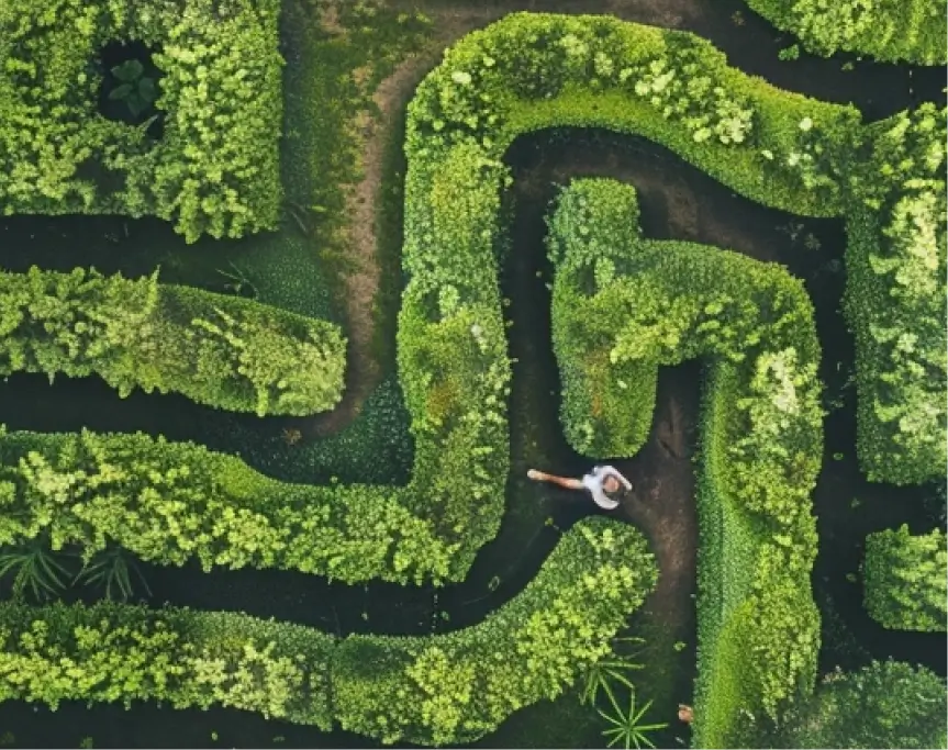 Birds-eye view of a person in white clothing walking in a winding grassy maze